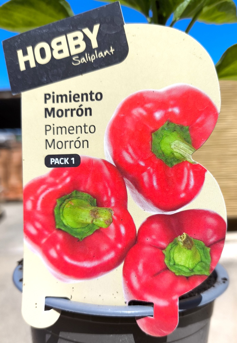 0318003035_1 Etiqueta del Pimiento Morrón.